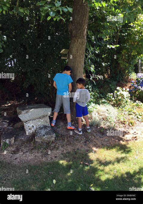 niños haciendo pipi en un arbol